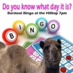 Barstool Bingo